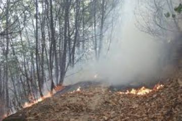 Dichiarazione stato di massima pericolosit&#224; per gli incendi boschivi su tutto il territorio regionale del Piemonte