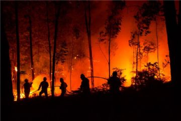 Dichiarazione stato di massima pericolosit&#224; per gli incendi boschivi su tutto il territorio regionale del Piemonte